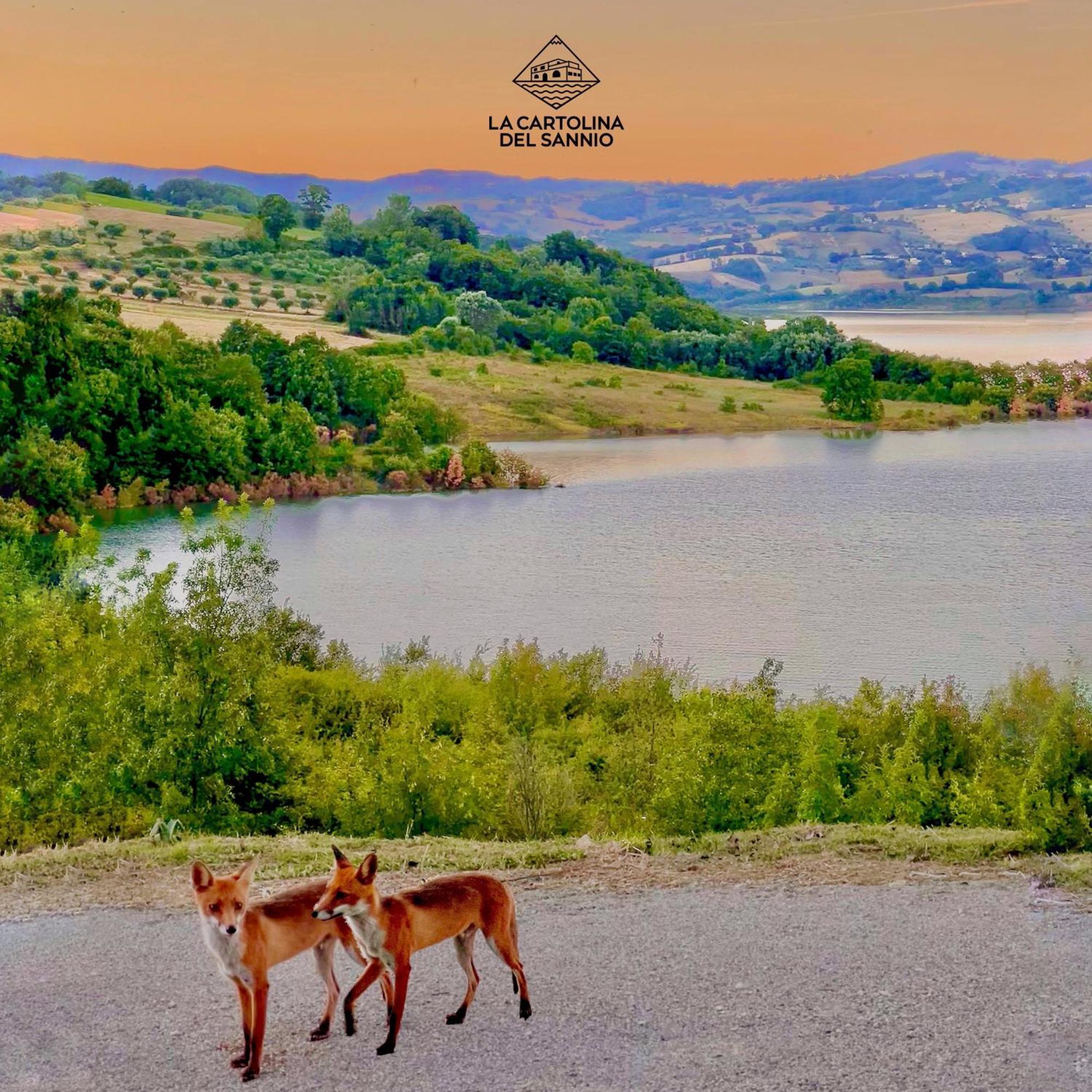 La Cartolina Del Sannio Bed & Breakfast Campolattaro Eksteriør bilde
